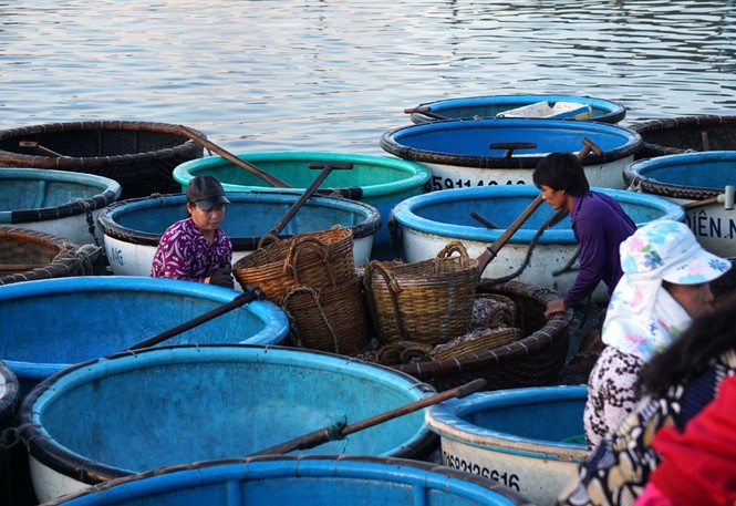 Cuộc mưu sinh của những nữ 'cửu vạn' ở chợ cá Xuân Cảnh - ảnh 7