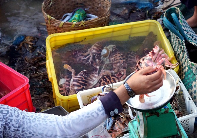 Cuộc mưu sinh của những nữ 'cửu vạn' ở chợ cá Xuân Cảnh - ảnh 4