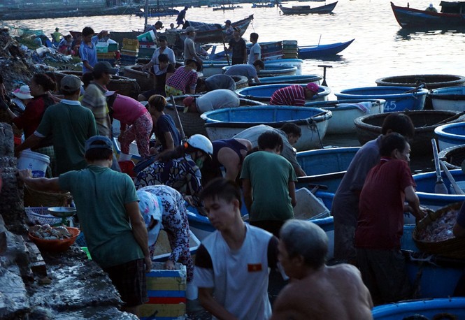 Cuộc mưu sinh của những nữ 'cửu vạn' ở chợ cá Xuân Cảnh - ảnh 2