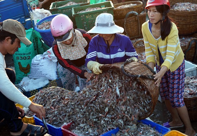 Cuộc mưu sinh của những nữ 'cửu vạn' ở chợ cá Xuân Cảnh - ảnh 5