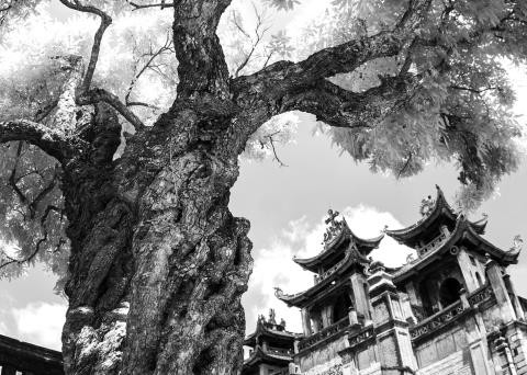 'Ánh sáng từ tâm' gây quỹ ủng hộ trẻ em nghèo - ảnh 2