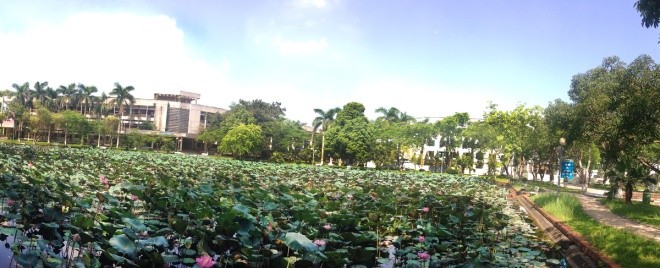 'Ánh sáng từ tâm' gây quỹ ủng hộ trẻ em nghèo - ảnh 4