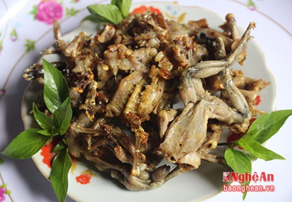 Cận cảnh một buổi đi săn “cậu ông trời” trong đêm - ảnh 11