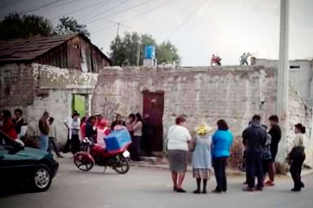 Vì sao trẻ sơ sinh có thể chết thảm vì bị... chuột cắn? - ảnh 1