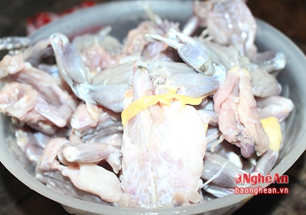 Cận cảnh một buổi đi săn “cậu ông trời” trong đêm - ảnh 9