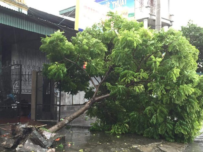 Những hình ảnh đầu tiên của cơn bão số 3 tại Quảng Ninh - ảnh 7