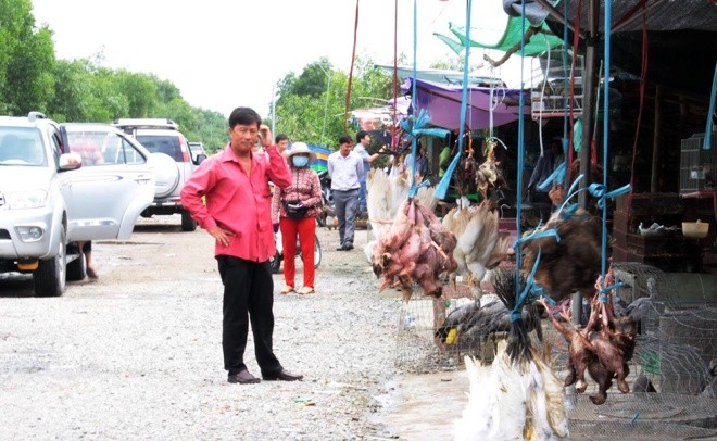 Cận cảnh chợ chim trời lớn nhất miền Tây - ảnh 2