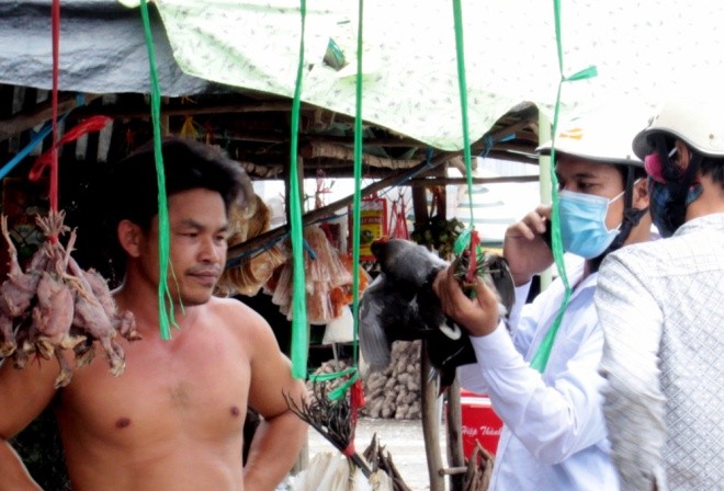 Cận cảnh chợ chim trời lớn nhất miền Tây - ảnh 3