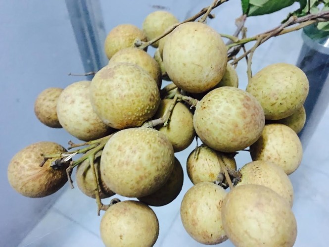 Tẩy trắng hoa quả bằng lưu huỳnh: Điều gì đáng sợ nhất? - ảnh 1