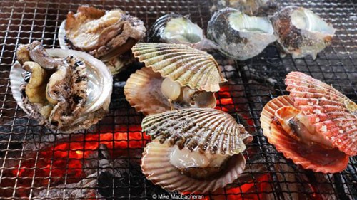Ama - những phụ nữ bí ẩn của biển cả ở Nhật Bản - ảnh 2