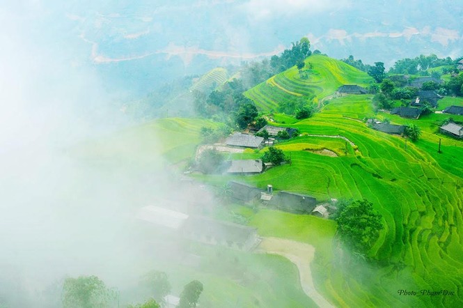 Ngỡ ngàng ruộng bậc thang Hoàng Su Phì mùa lúa chín - ảnh 12