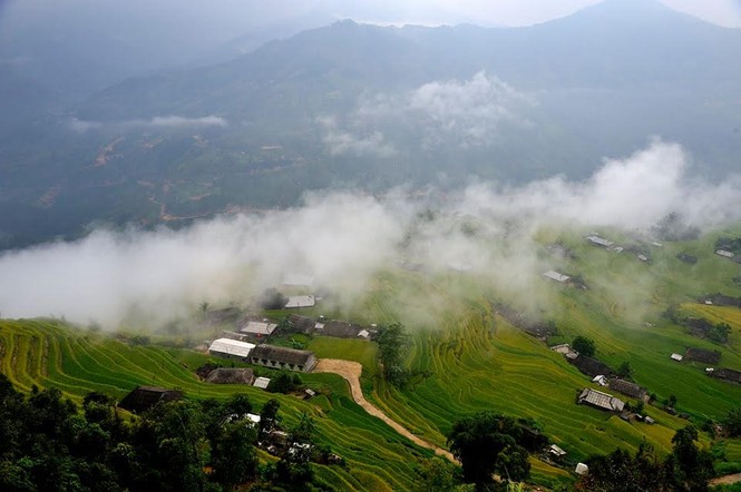 Ngỡ ngàng ruộng bậc thang Hoàng Su Phì mùa lúa chín - ảnh 2
