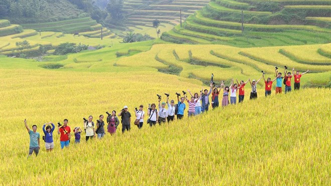 Ngỡ ngàng ruộng bậc thang Hoàng Su Phì mùa lúa chín - ảnh 3