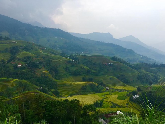 Ngỡ ngàng ruộng bậc thang Hoàng Su Phì mùa lúa chín - ảnh 4