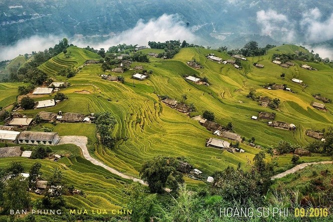 Ngỡ ngàng ruộng bậc thang Hoàng Su Phì mùa lúa chín - ảnh 5