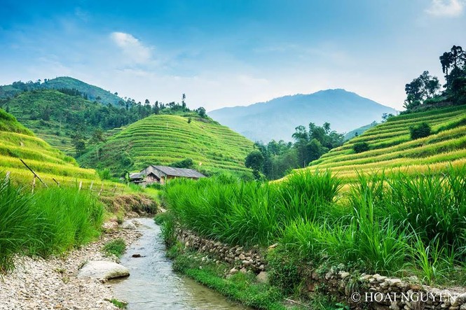 Ngỡ ngàng ruộng bậc thang Hoàng Su Phì mùa lúa chín - ảnh 6