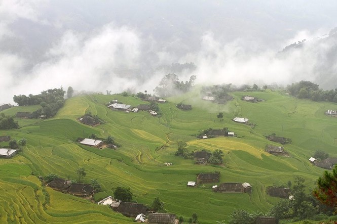 Ngỡ ngàng ruộng bậc thang Hoàng Su Phì mùa lúa chín - ảnh 9