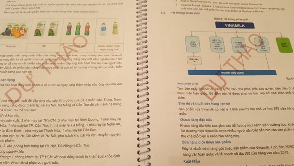 Đầu tháng 12 sẽ đấu giá 9% cổ phần Vinamilk của SCIC - ảnh 2