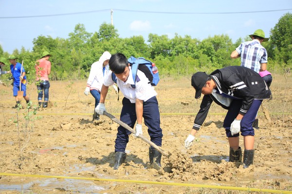 Trồng mới 500 cây xanh tại rừng ngập mặn Cần Giờ - ảnh 2