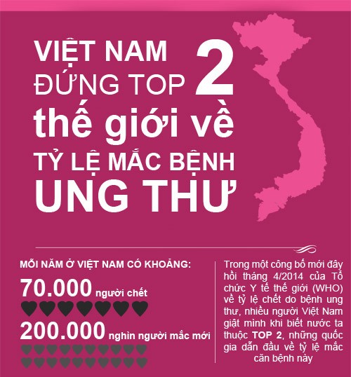Ung thư sẽ thành ‘đại dịch’ trong 5 năm tới ở Việt Nam - ảnh 1