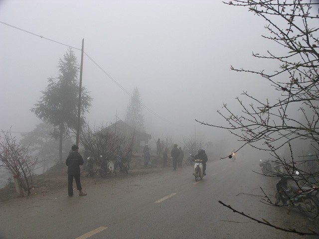 Chợ hoa đào Sa Pa trong giá lạnh 10 độ C - ảnh 5