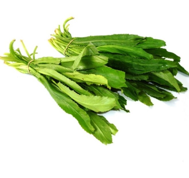 9 loại cây trồng trong nhà làm gia vị và thuốc chữa bệnh - ảnh 2