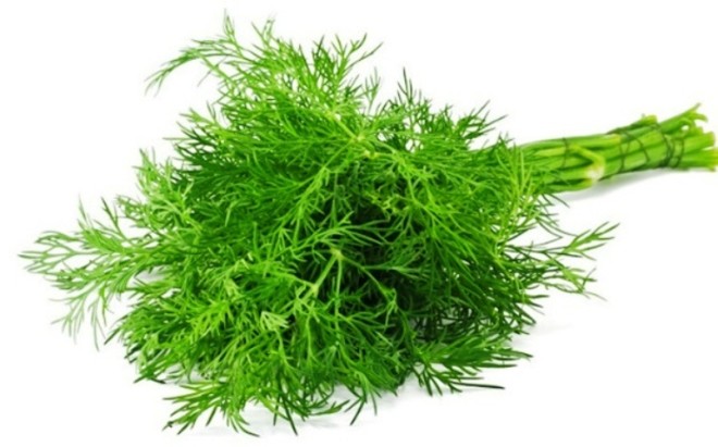 9 loại cây trồng trong nhà làm gia vị và thuốc chữa bệnh - ảnh 4