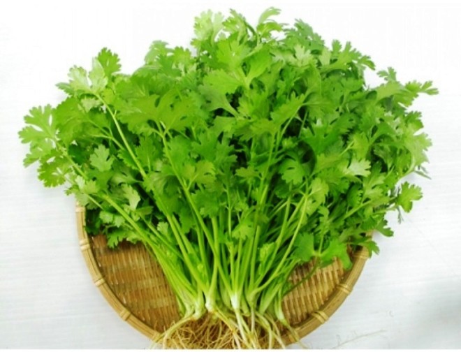 9 loại cây trồng trong nhà làm gia vị và thuốc chữa bệnh - ảnh 7