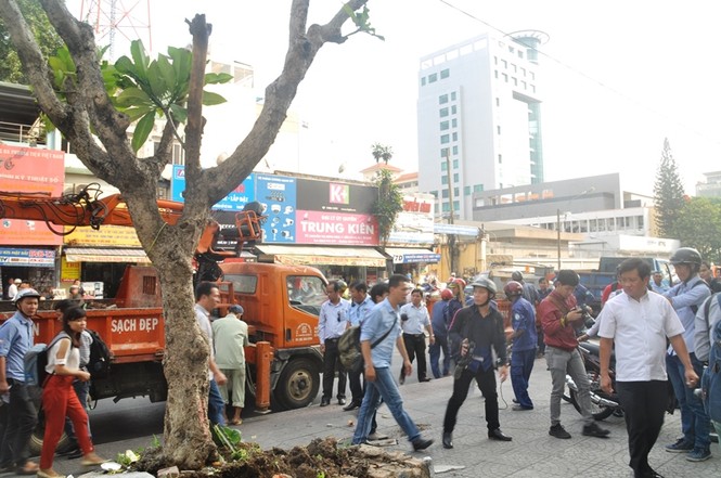 Đập tường, bứng cây cạnh tòa nhà Bộ Công thương - ảnh 2
