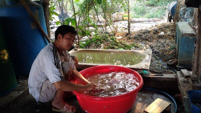 Cận cảnh nơi giết mổ gia cầm ngay tại... nghĩa địa - ảnh 2