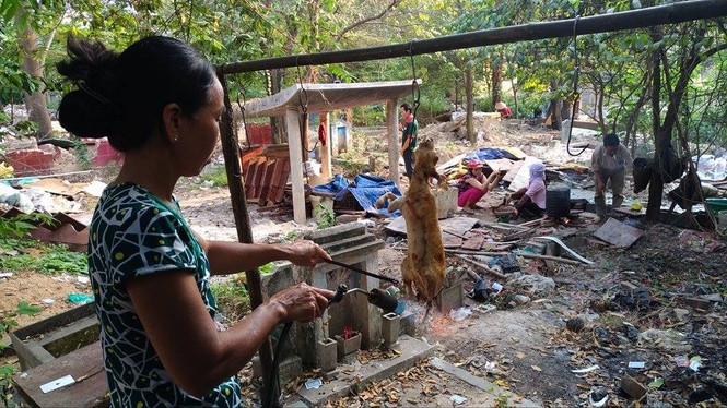 Cận cảnh nơi giết mổ gia cầm ngay tại... nghĩa địa - ảnh 4