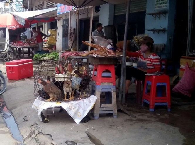 Cận cảnh nơi giết mổ gia cầm ngay tại... nghĩa địa - ảnh 5