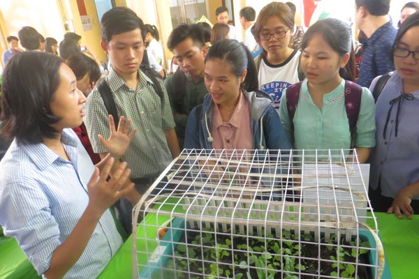 Khởi nghiệp từ xơ mướp - ảnh 2