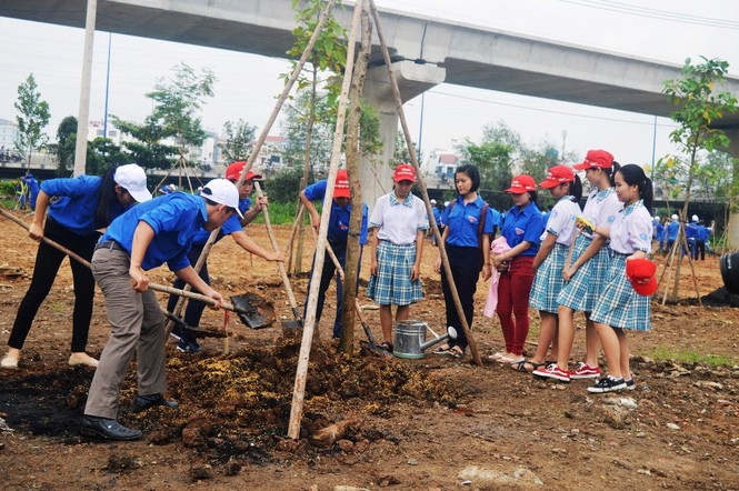 TPHCM trồng 7.000 cây xanh mỗi năm - ảnh 1