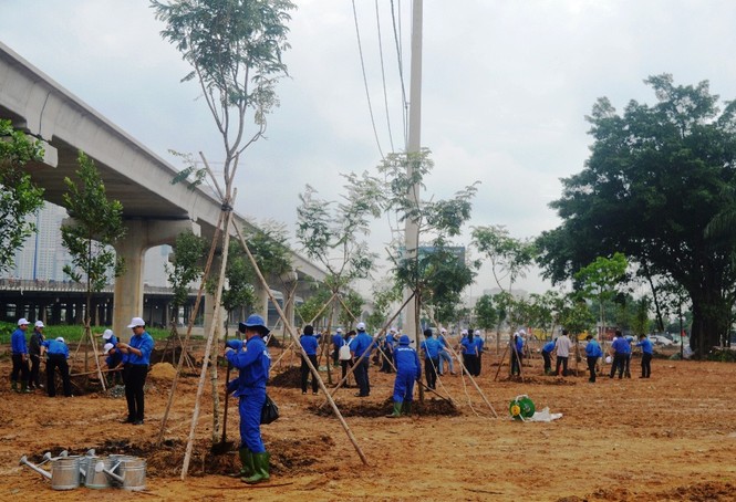 TPHCM trồng 7.000 cây xanh mỗi năm - ảnh 2