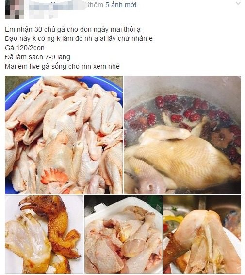 Truy nguồn gốc gà ri đặc sản mổ sẵn 60 ngàn đồng/con - ảnh 1