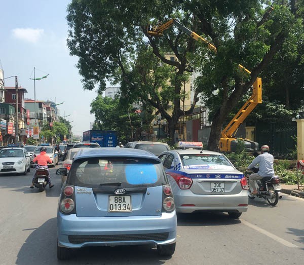 Tắc nửa con phố, nhân viên Công ty Cây xanh bình chân tỉa cây - ảnh 1