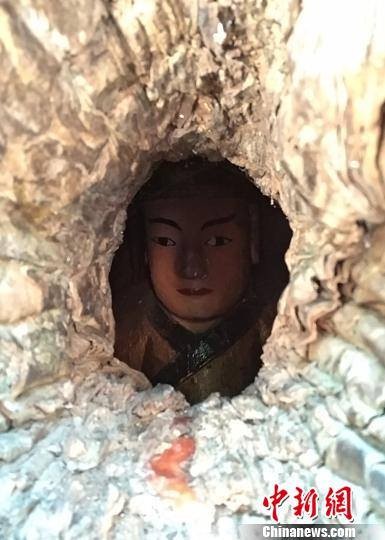 Trung Quốc: Đầu tượng Phật lộ ra từ thân cây 1.000 tuổi - ảnh 1