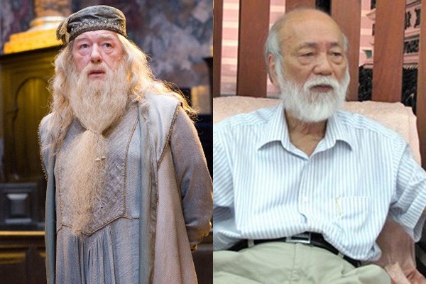 'Pháp sư vĩ đại Dumbledore' của Lương Thế Vinh - ảnh 1