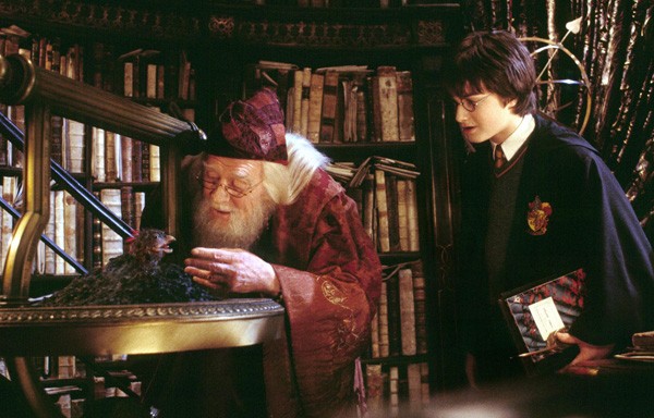 'Pháp sư vĩ đại Dumbledore' của Lương Thế Vinh - ảnh 3