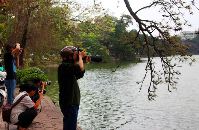 Khoảnh khắc Thu Hà Nội - ảnh 2