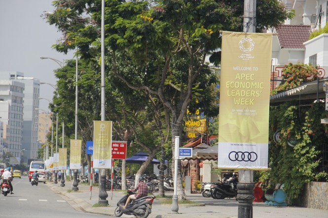 Đà Nẵng chỉnh trang đường phố bằng tranh bắt mắt phục vụ APEC - ảnh 3