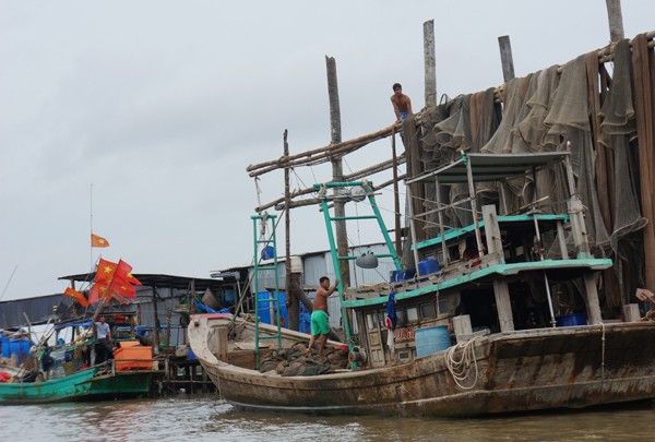 Áp thấp nhiệt đới uy hiếp, Cà Mau căng mình lo chống thiên tai - ảnh 2