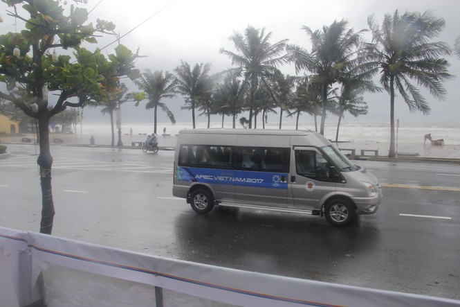 Nhiều hộ kinh doanh không kịp trở tay trước bão Damrey - ảnh 2