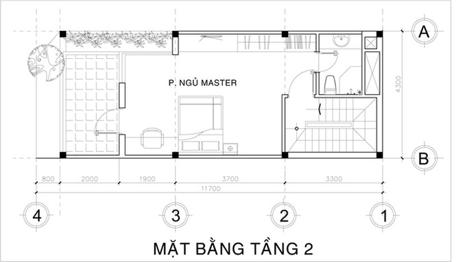 Tư vấn xây nhà 4 tầng có sân vườn ở Sài Gòn chỉ 900 triệu - ảnh 2