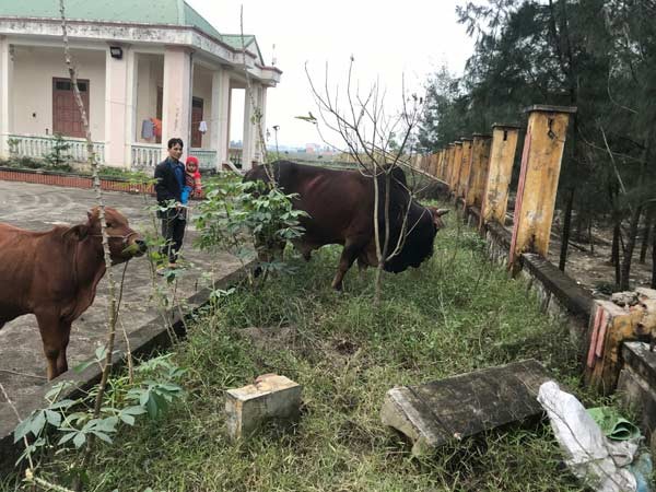 Thêm một trạm radar hàng chục tỉ tan hoang và tê liệt - ảnh 1