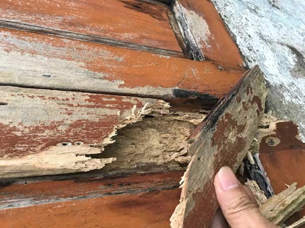 Thêm một trạm radar hàng chục tỉ tan hoang và tê liệt - ảnh 2