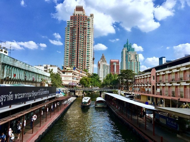 Hàng ngàn con rắn lao vào nhà dân - ảnh 2