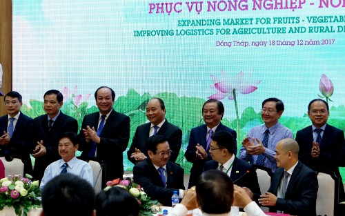 Mỹ, Nhật, Hàn, Trung Quốc tấp nập đặt mua rau củ quả Việt Nam - ảnh 1