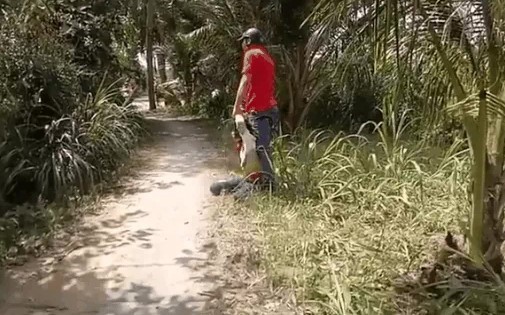 chồng kẹp cổ đạp vợ túi bụi giữa đường - ảnh 1